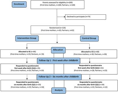 Effects of the “Inspirational Lecture” in Combination With “Ordinary Antenatal Parental Classes” as Professional Support for Expectant Parents: A Pilot Study as a Randomized Controlled Trial